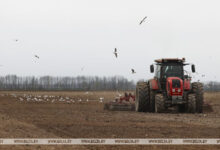 Photo of Sugar beet planting in Belarus almost 83% complete